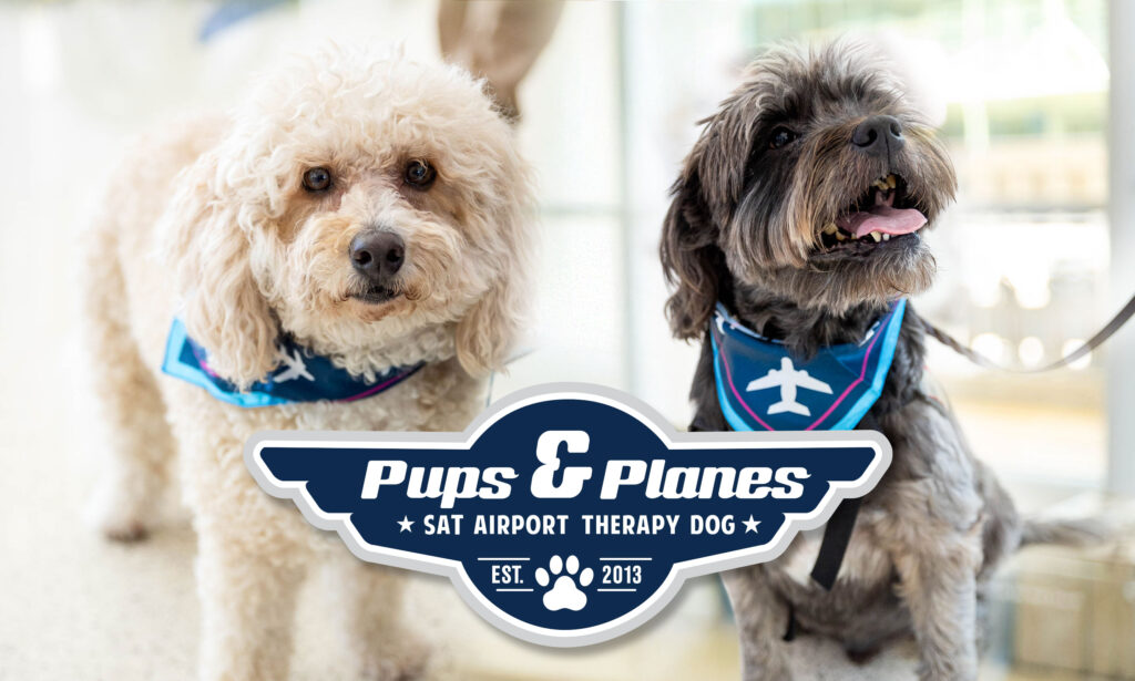 Pups and Planes 2025